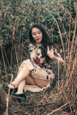 最后的花园故事原画质